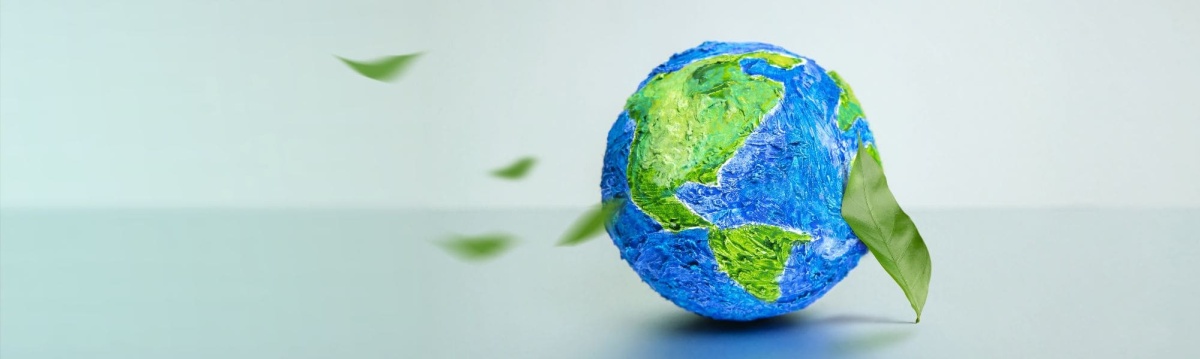 Misura la carbon footprint del tuo team building